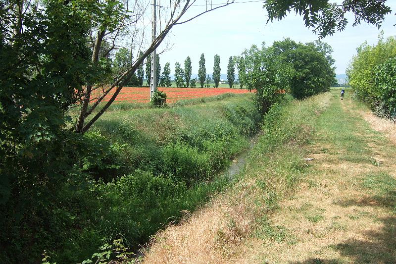 2011-05- (1309).JPG - Zur Linken sehen wir wieder mal ein Mohnblumenfeld